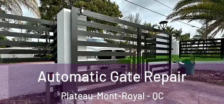 Automatic Gate Repair Plateau-Mont-Royal - QC