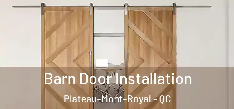 Barn Door Installation Plateau-Mont-Royal - QC