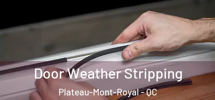 Door Weather Stripping Plateau-Mont-Royal - QC