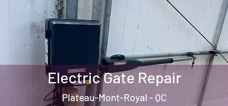 Electric Gate Repair Plateau-Mont-Royal - QC