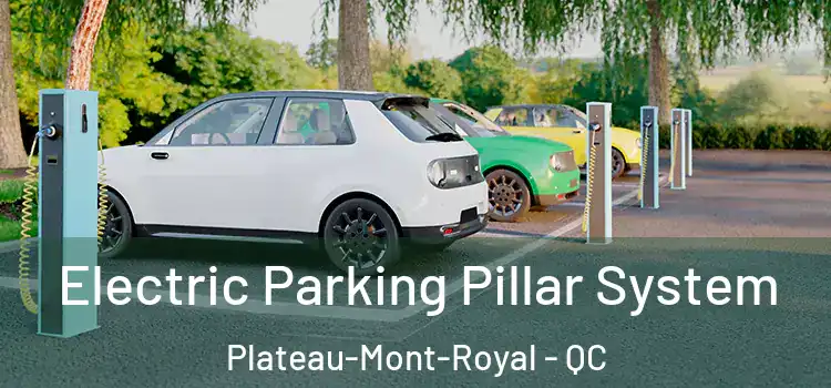 Electric Parking Pillar System Plateau-Mont-Royal - QC