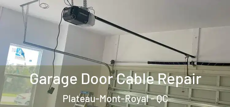  Garage Door Cable Repair Plateau-Mont-Royal - QC