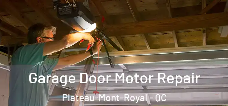  Garage Door Motor Repair Plateau-Mont-Royal - QC