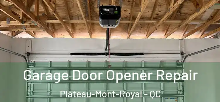  Garage Door Opener Repair Plateau-Mont-Royal - QC