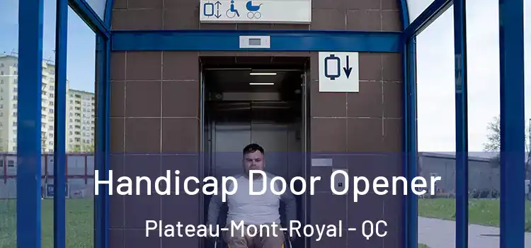 Handicap Door Opener Plateau-Mont-Royal - QC