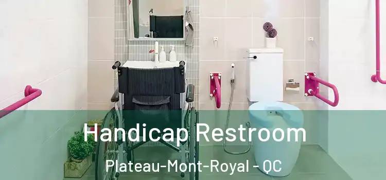 Handicap Restroom Plateau-Mont-Royal - QC
