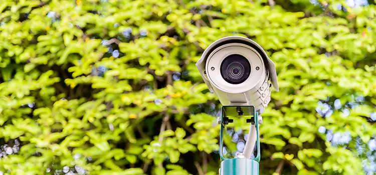 Advanced Surveillance Solutions for Every Need in Plateau-Mont-Royal
