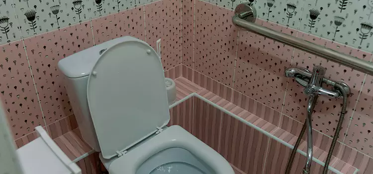 Meeting Diverse Needs With Accessible Restroom Solutions in Plateau-Mont-Royal, QC