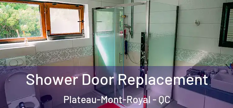 Shower Door Replacement Plateau-Mont-Royal - QC