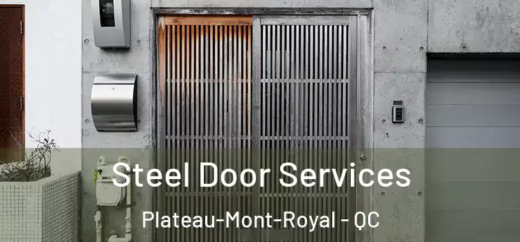  Steel Door Services Plateau-Mont-Royal - QC