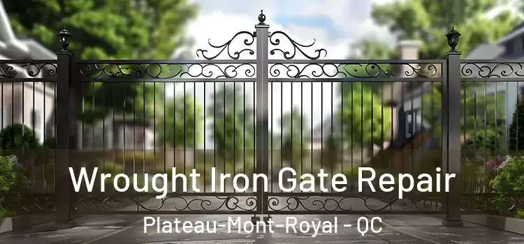 Wrought Iron Gate Repair Plateau-Mont-Royal - QC